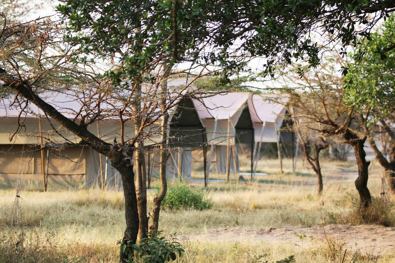 Olengoti Eco Safari Camp Hotel Talek Exterior foto